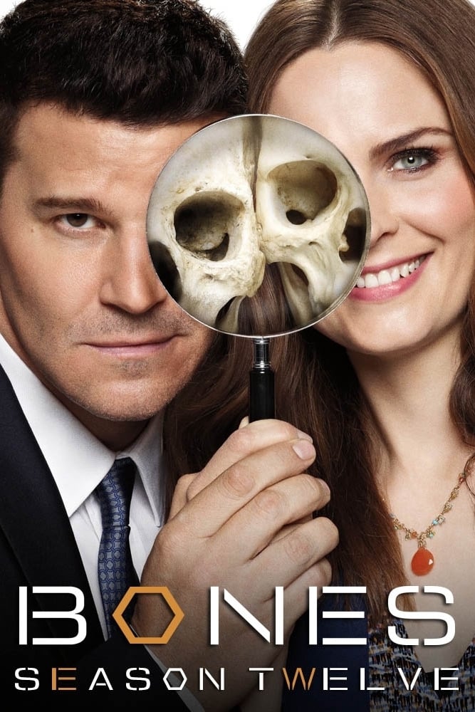 Bones (2005) Completa